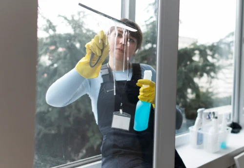 Nettoyage de vitres intérieures et extérieures à Saint-Romain-de-Benet